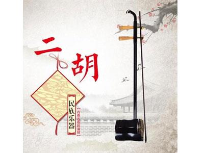 招聘朝阳二胡家教老师